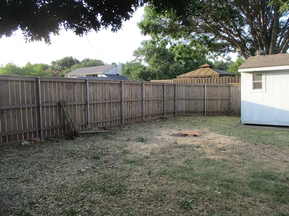 Cleared yard after professional tree removal in Dalmatia